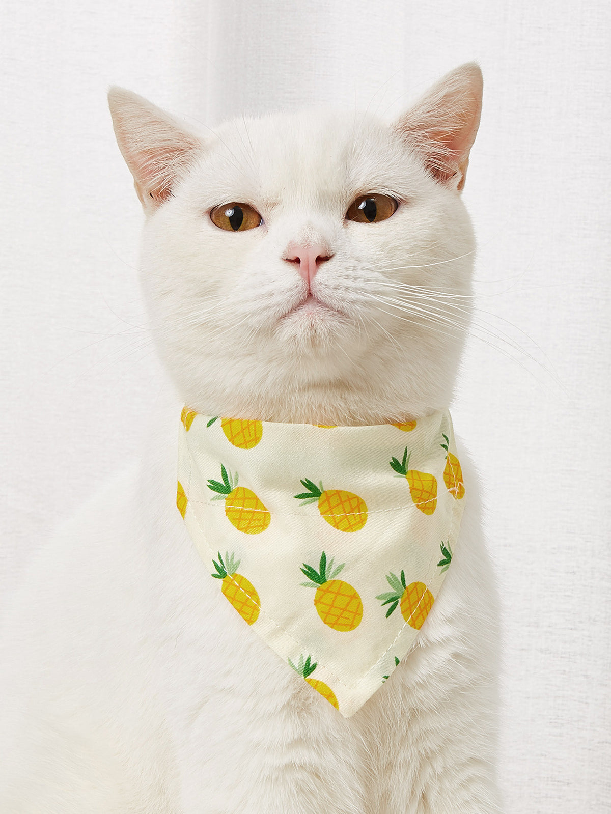 Pañuelo triangular estampado para mascotas