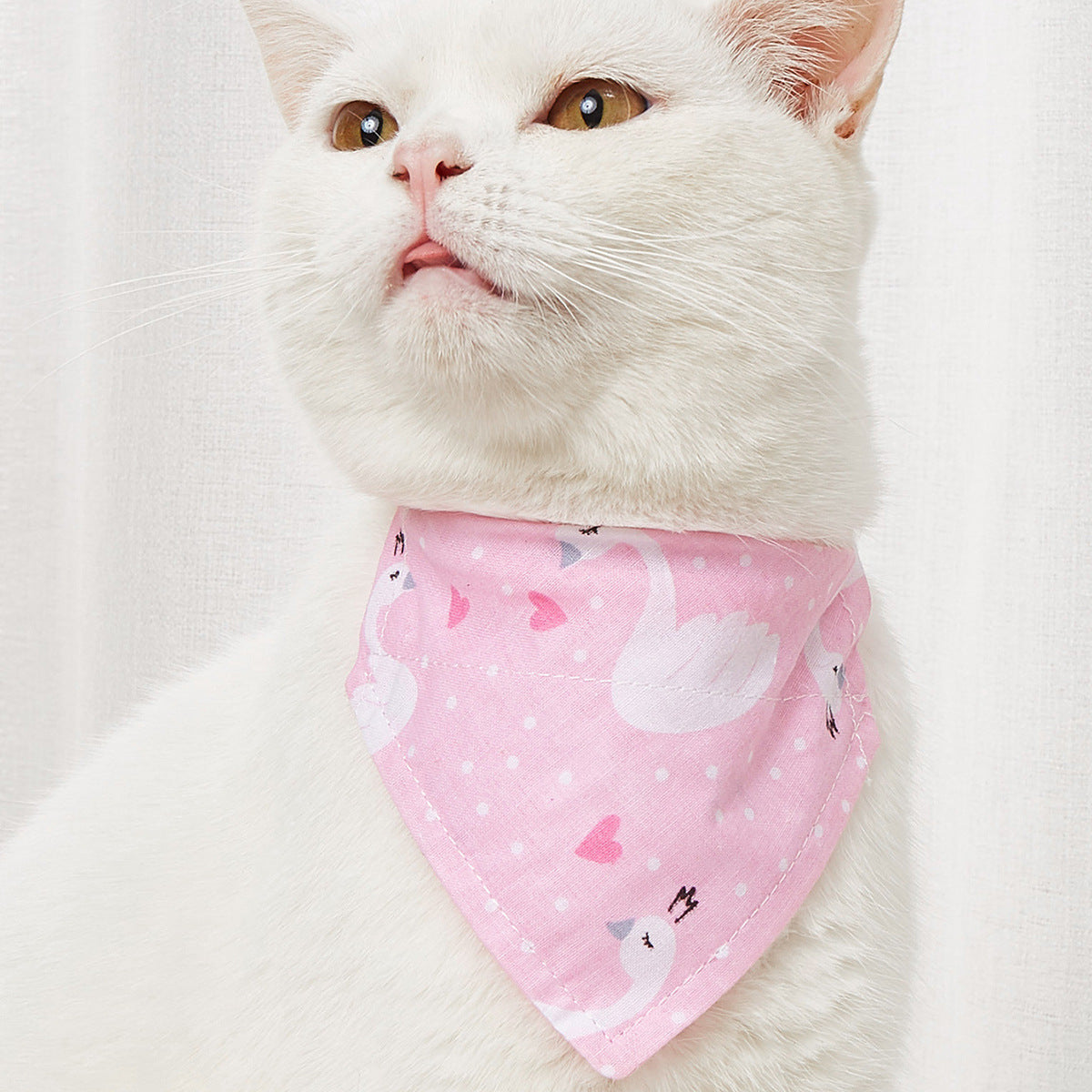 Pañuelo triangular estampado para mascotas