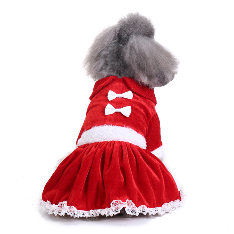 Disfraces y ropa festiva para mascotas
