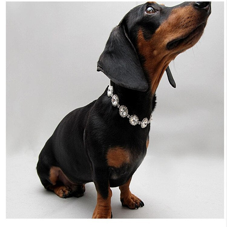 Collar decorativo de perlas de imitación para mascotas