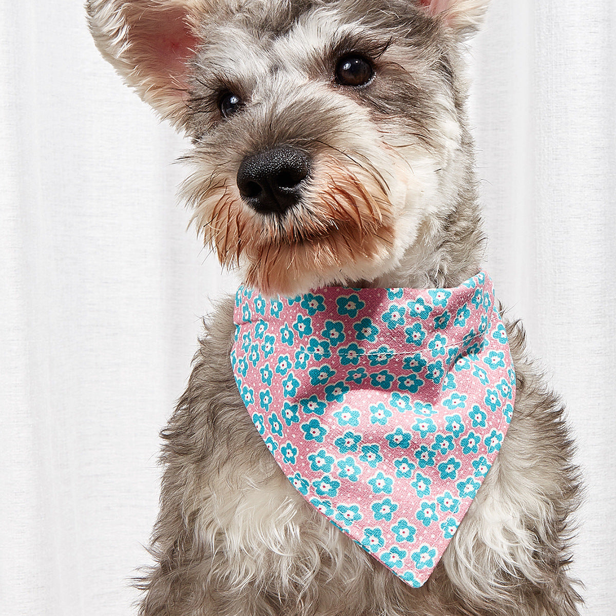 Pañuelo triangular estampado para mascotas