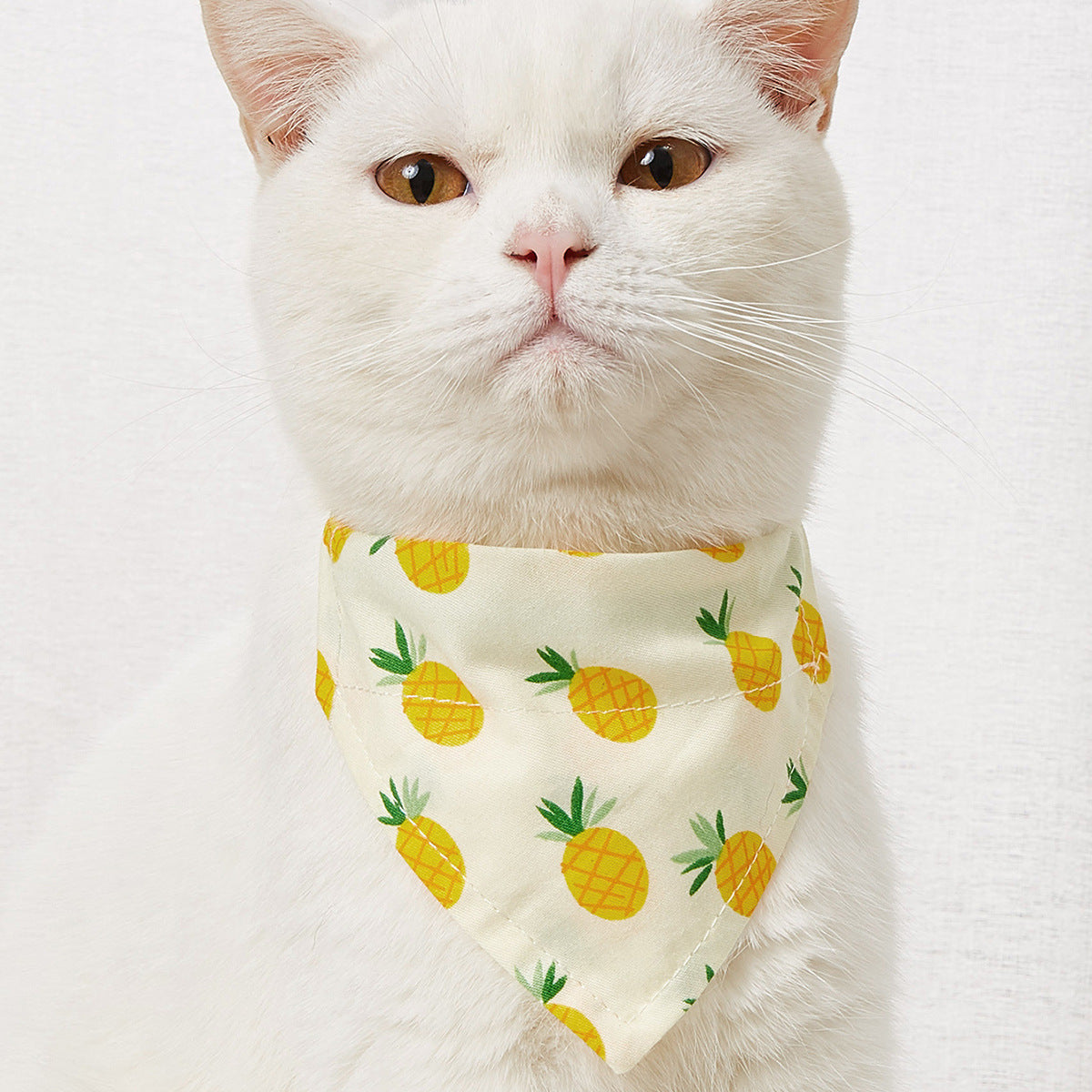 Pañuelo triangular estampado para mascotas