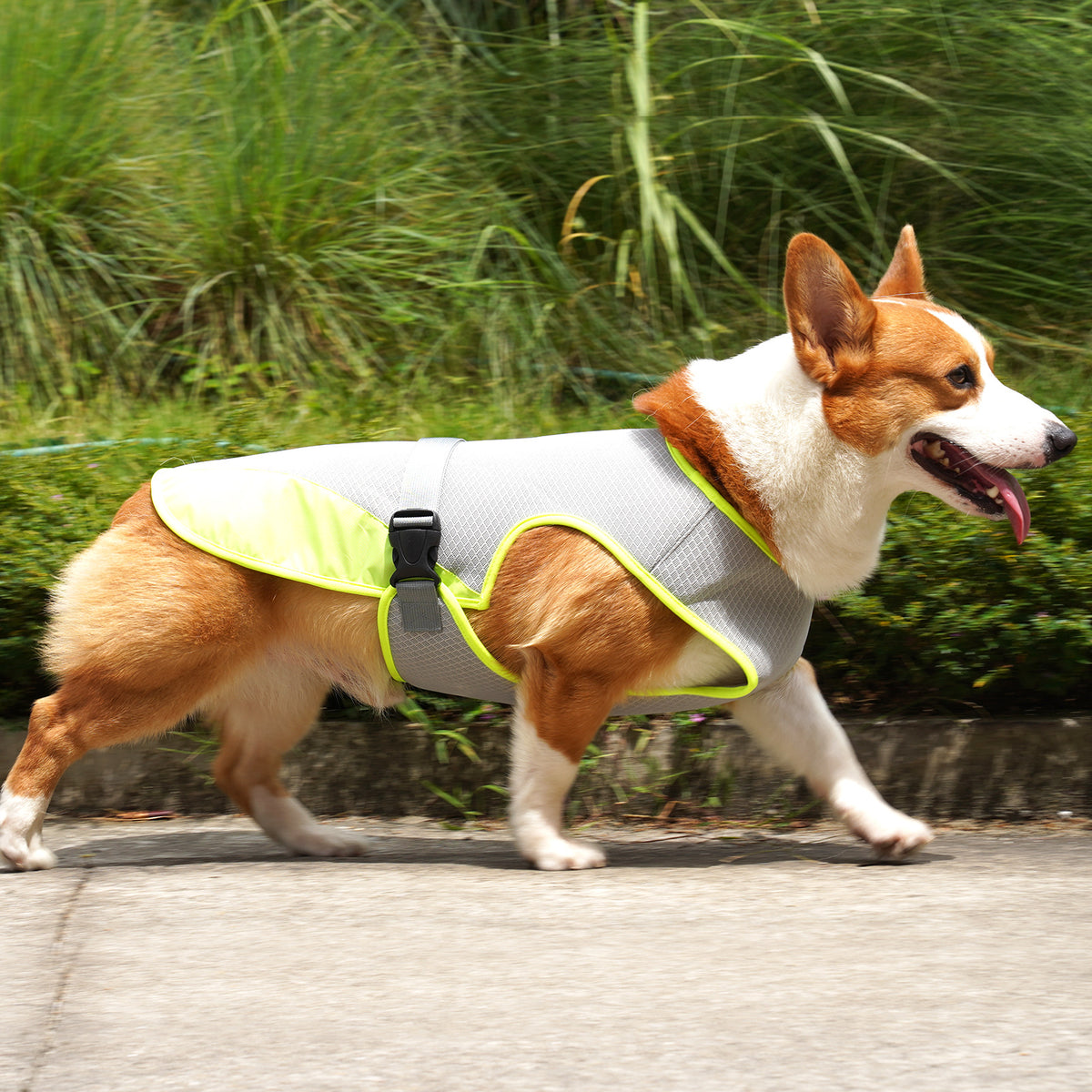 Prenda refrescante para perros