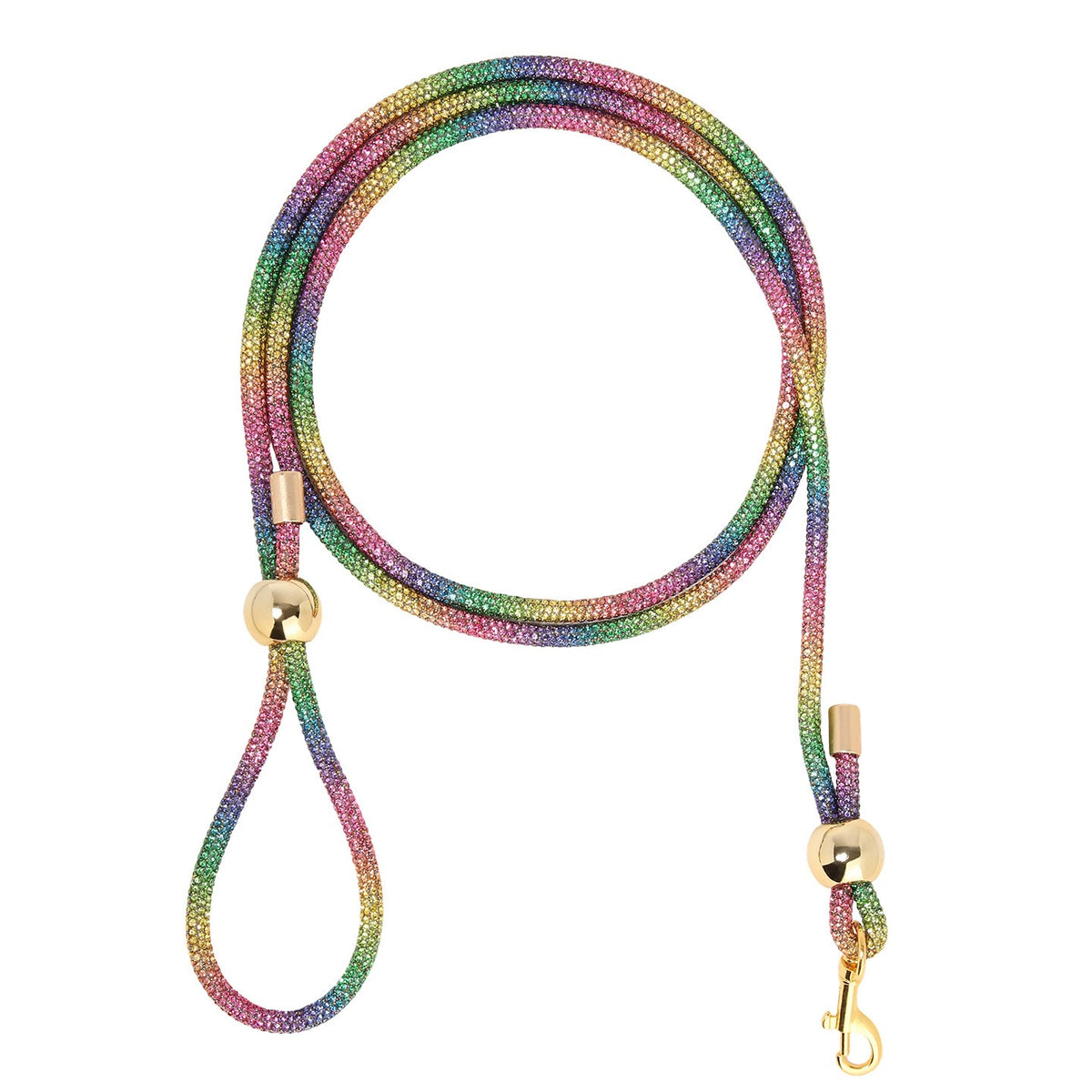 Correa para paseo de mascotas