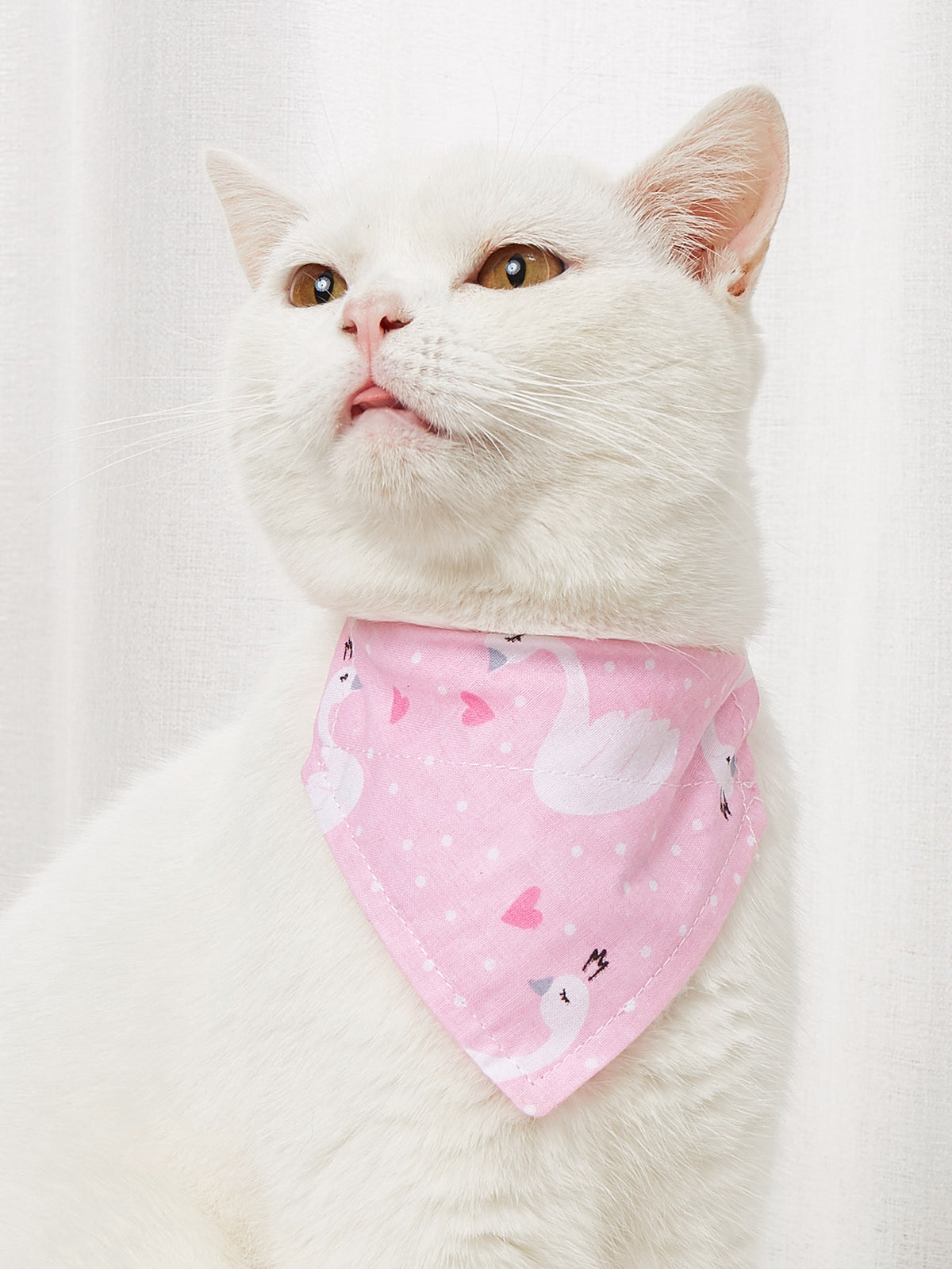 Pañuelo triangular estampado para mascotas