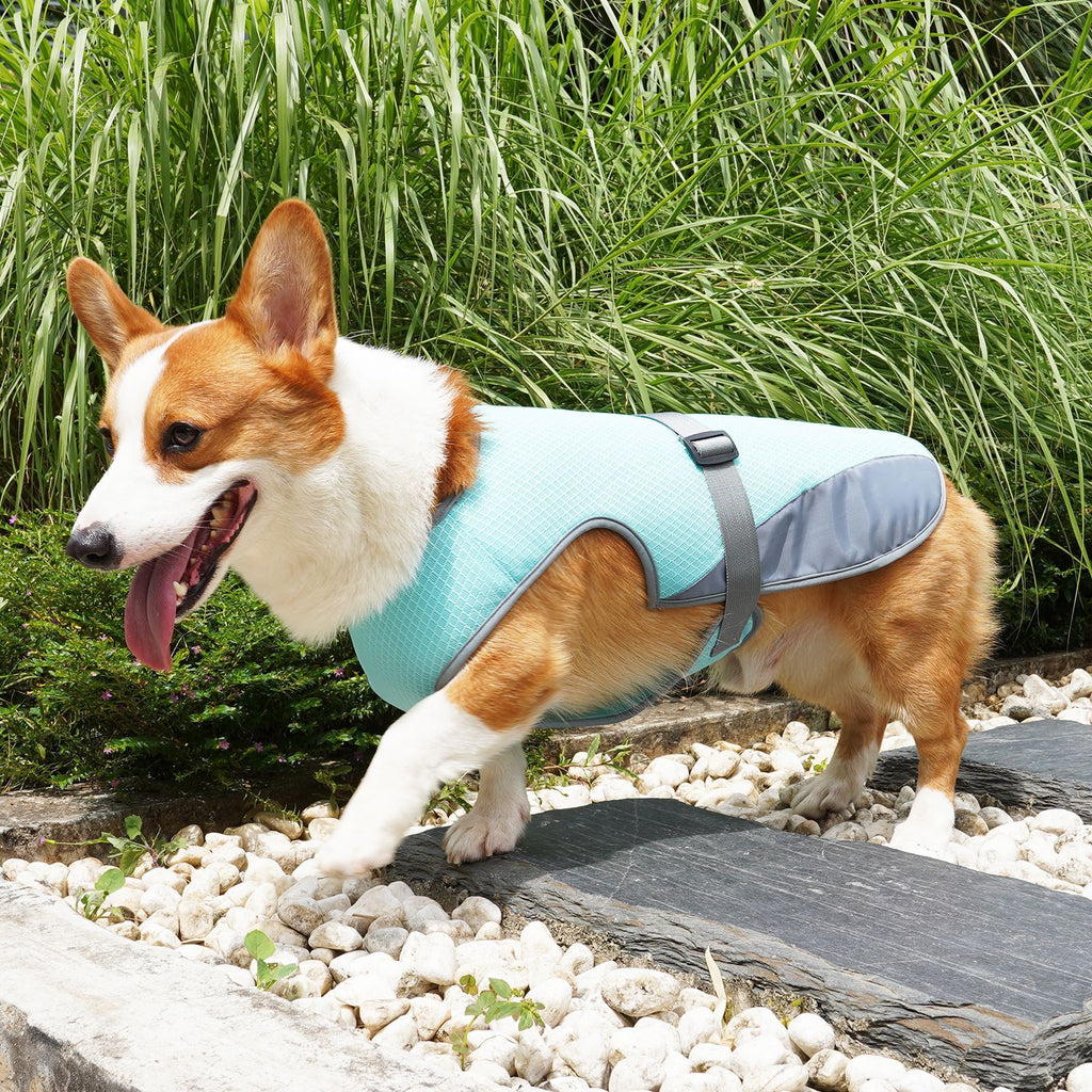 Prenda refrescante para perros