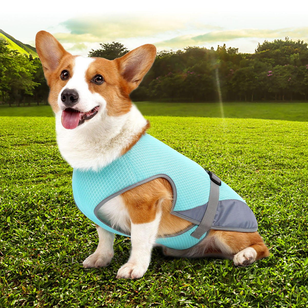 Prenda refrescante para perros