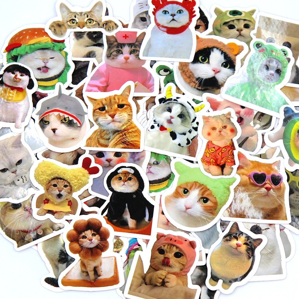 Adhesivos decorativos de gatos