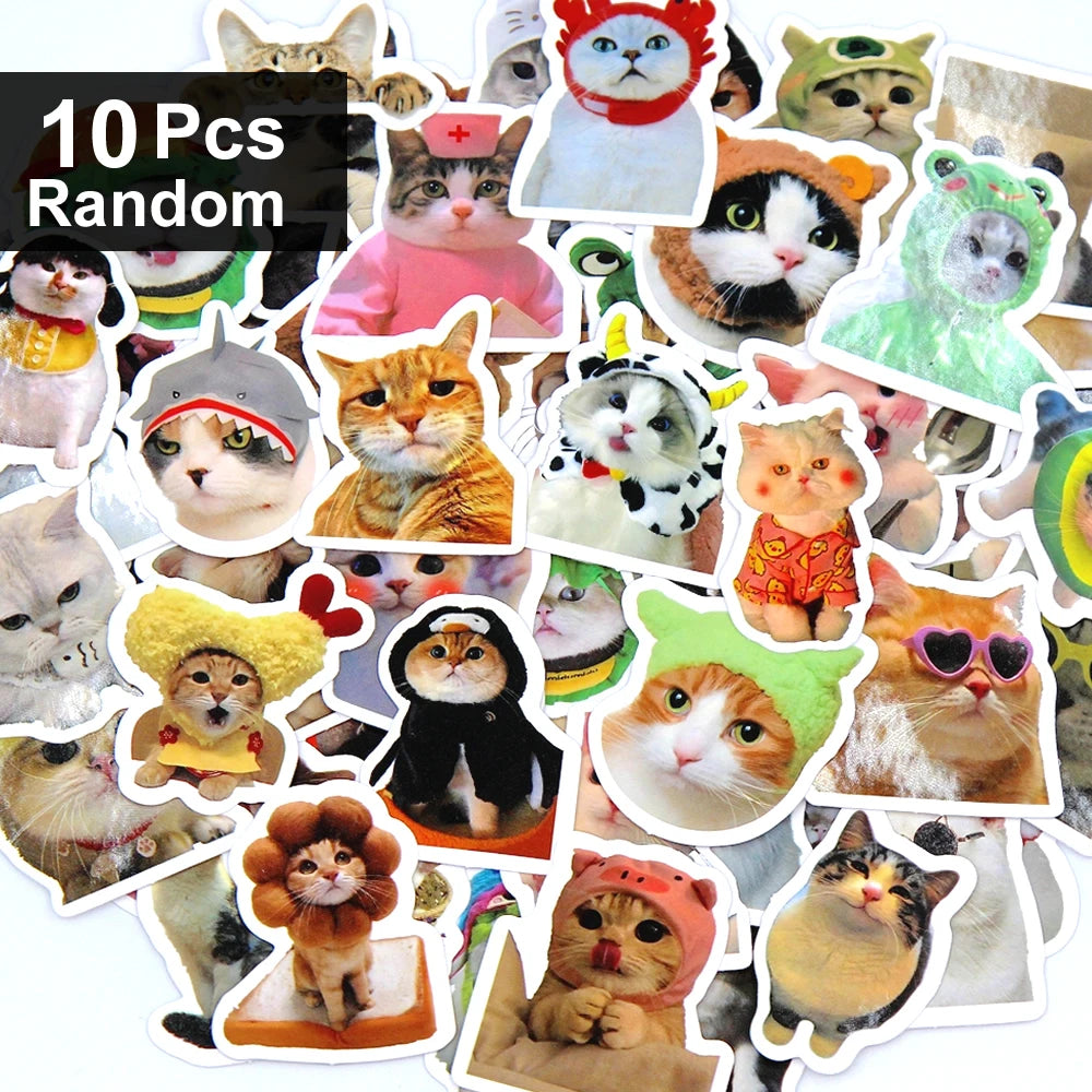 Adhesivos decorativos de gatos