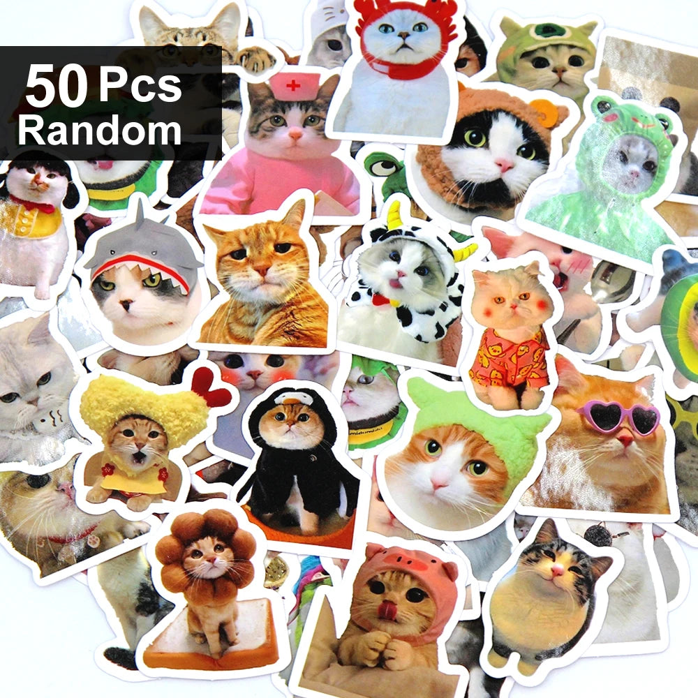Adhesivos decorativos de gatos