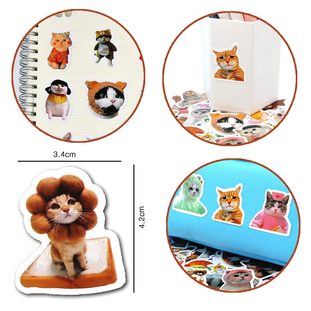 Adhesivos decorativos de gatos