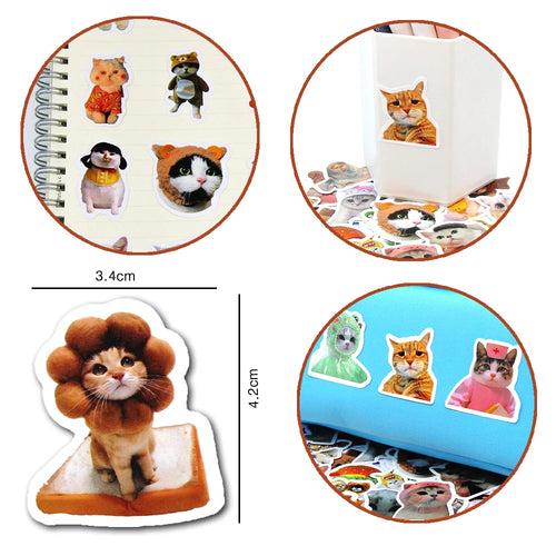 Adhesivos decorativos de gatos